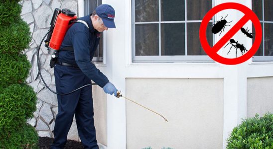 Yakakent Böcek İlaçlama böcek ilaçlama ve haşere kontrolü — ilaclama-tr.com